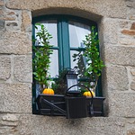 house, window, architecture