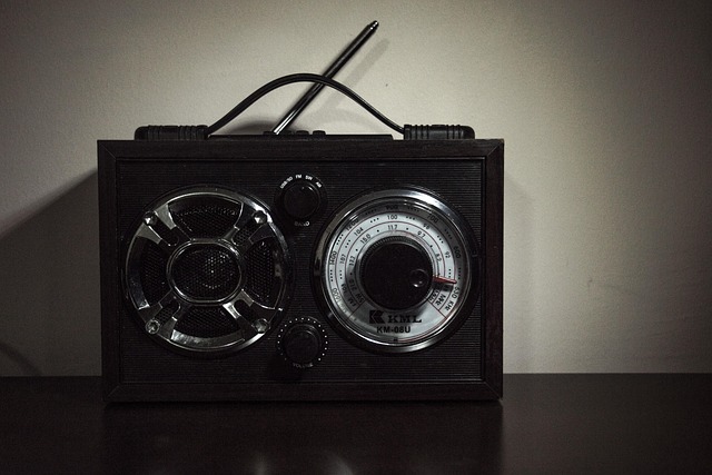 Free Speaker Retro photo and picture