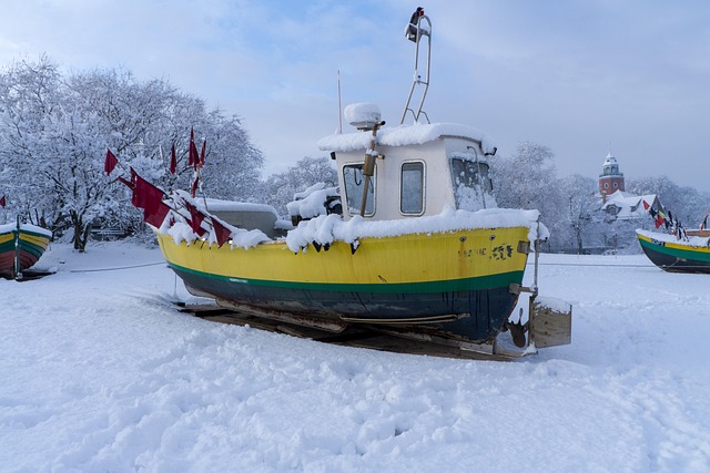 Sne, Vinter, Is, Kold, Natur, Transport