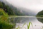 water, nature, river