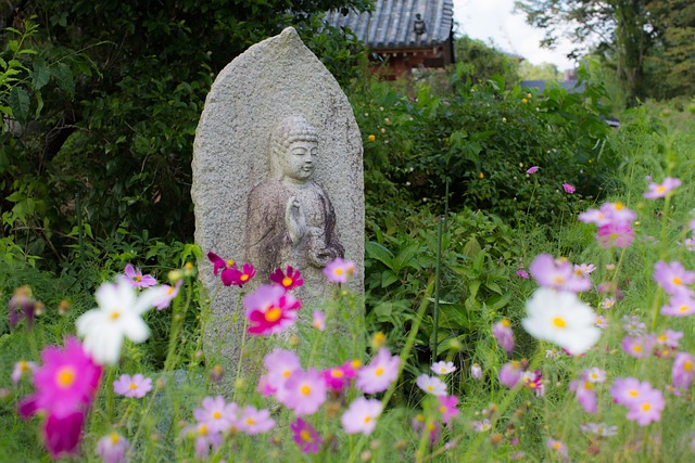 Blumen, Schöne Blumen, Blumentapete