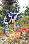 wheel, outdoors, nature