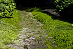 road, pavement, kőjárda