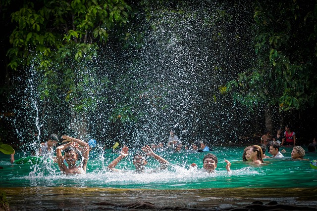 Free Krabi Emerald Pool photo and picture