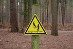 road, wood, warning