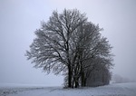mati, winter, snow