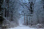 mati, winter, snow