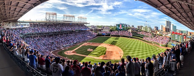 Free Panoramic Field photo and picture
