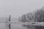 snow, winter, nature