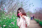 nature, outdoors, summer