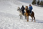 snow, winter, ice