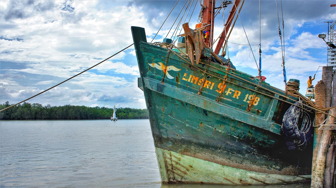 Fishing - free online jigsaw puzzle photo