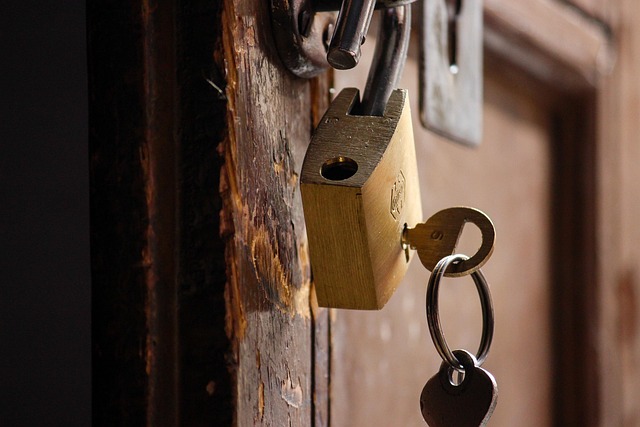 Free Door Lock photo and picture