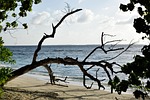 body of water, nature, sea