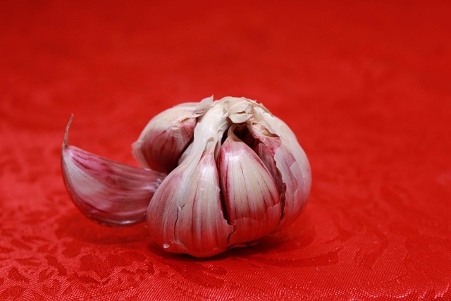 Free Food Free Wallpaper photo and picture