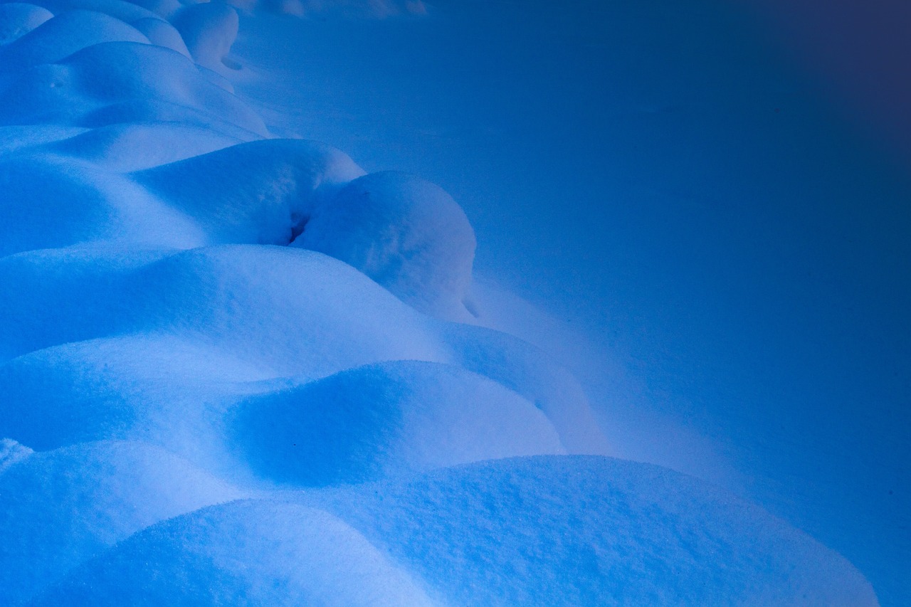 Nature - free online jigsaw puzzle photo