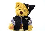 teddy, costume, clothing