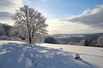 snow, winter, cold