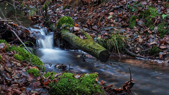 Natuur, Rivier, Waterval, Herfst, Blad