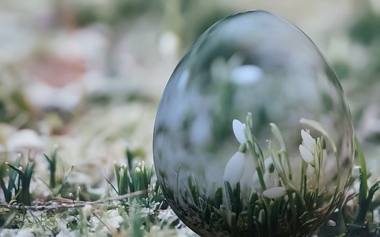 Free Easter Flower Wallpaper photo and picture