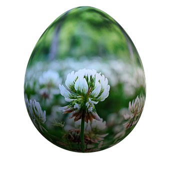 Free Easter Egg photo and picture