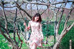 nature, tree, outdoors