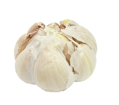 Knoflook, Transparante Achtergrond