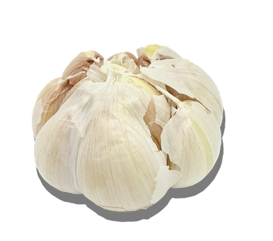 Knoflook, Transparante Achtergrond
