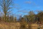 landscape, panorama, grass