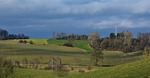 nature, grass, landscape