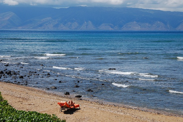 Free Water Sea photo and picture