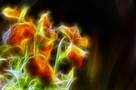 nature, color, blur
