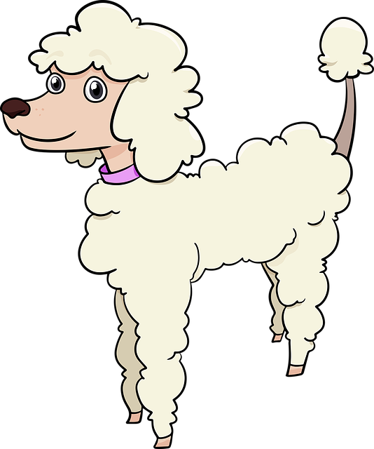 Caniche, Perro, Criar, Animal, Mascota