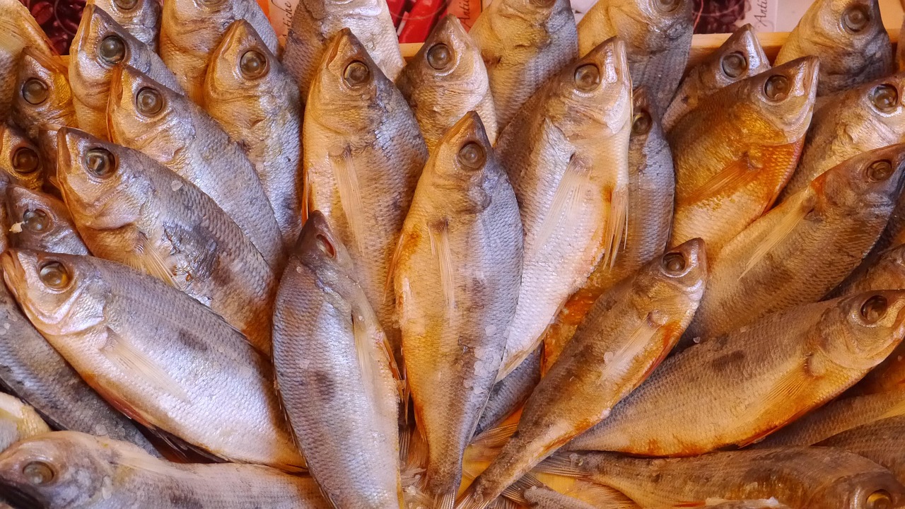 Poisson Fruits De Mer Aliments - Photo gratuite sur Pixabay - Pixabay