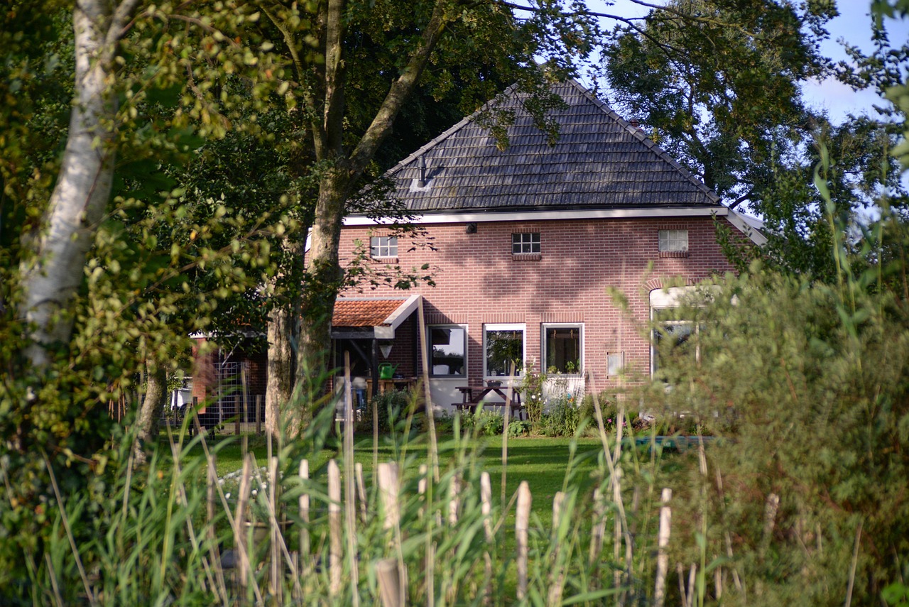 wood, tree, house, outdoors, grass, farm, dutch, fence, yard, garden, green summer, nature, back yard, home, building, architecture, residential, summer