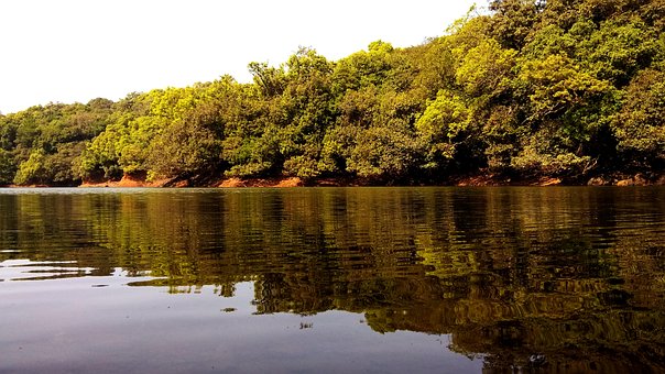 Free Nature Water photo and picture