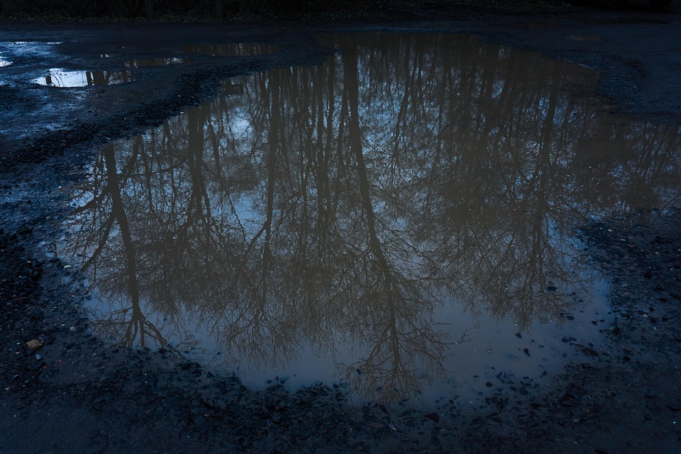 Fondo, Oscuridad, Textura, La Naturaleza, Árbol, Aguas