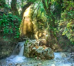 torrent, jungle, trees