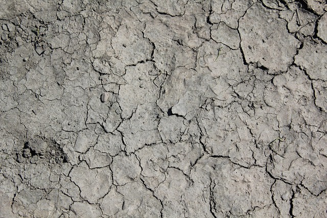 Free Drought Wallpaper photo and picture