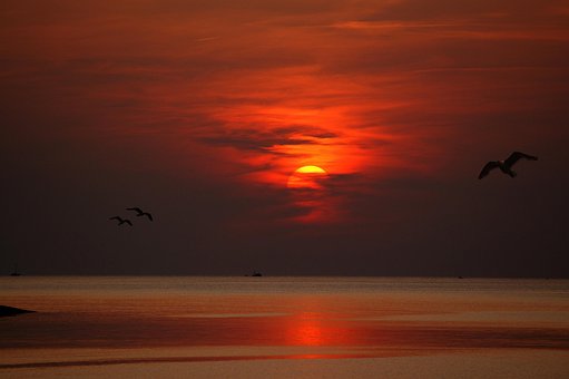 Solnedgang, Skumring, Daggry, Eve, Sol