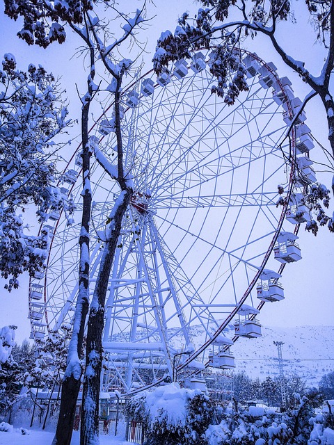 Himmel, Baum, Schnee, Kalt, Winter, Park