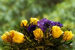 still life, flower, bouquet
