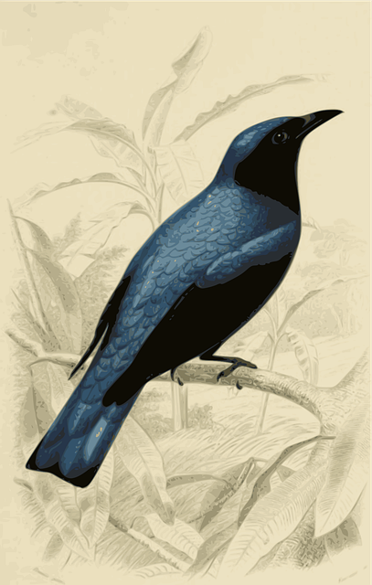 Free bird blue engraving vector