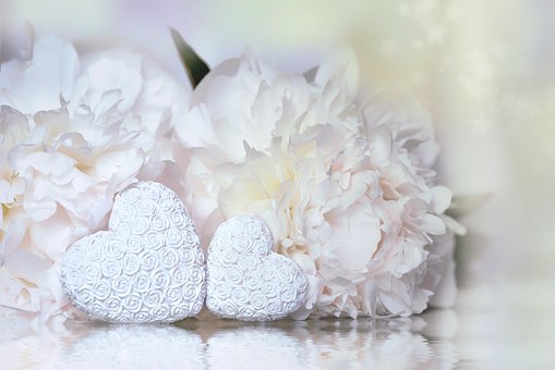 Herz, Pfingstrose, Weiss, Pflanze, Liebe