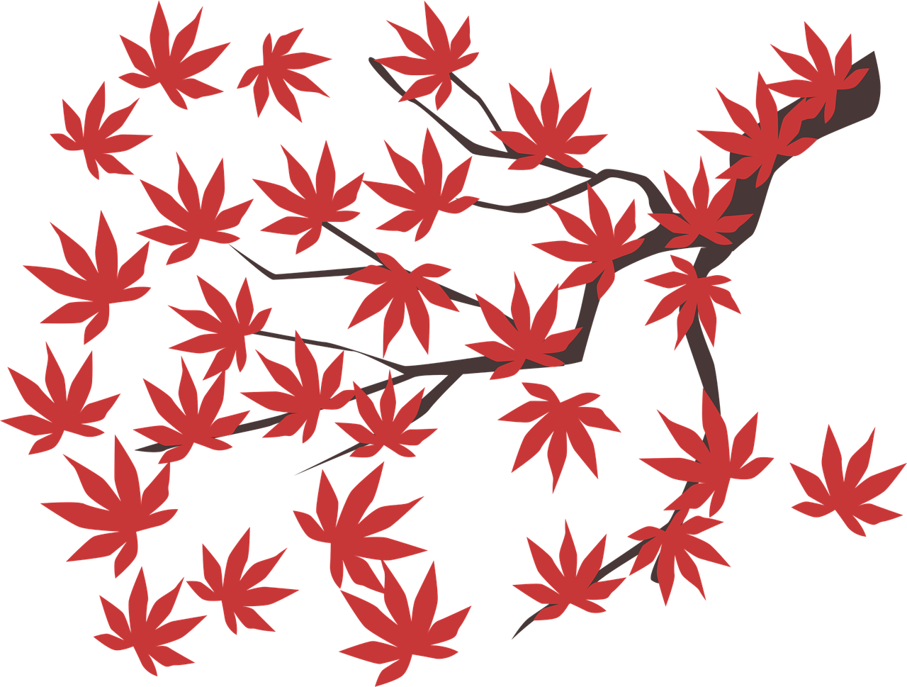 Download Maple Leaf, Maple, Leaf. RoyaltyFree Vector Graphic Pixabay