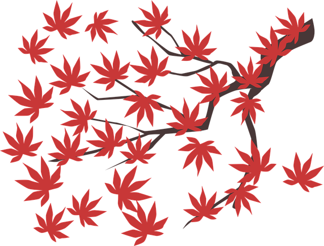 Free maple leaf maple leaf illustration