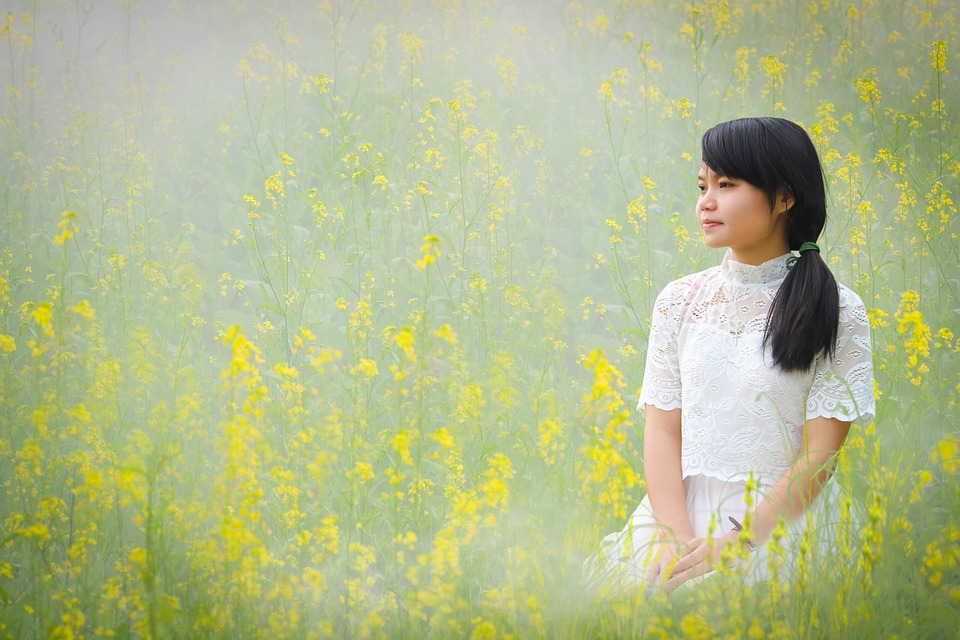 河北梆子下载