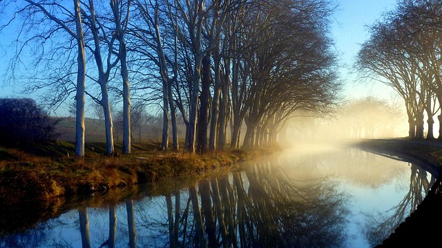 Free Nature Reflection photo and picture