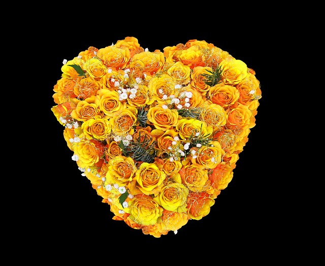 Free Flower Roses photo and picture