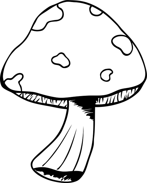 Free mushroom toadstool undergrowth vector